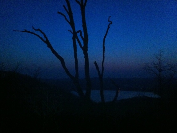 Night on Lakeview Trail